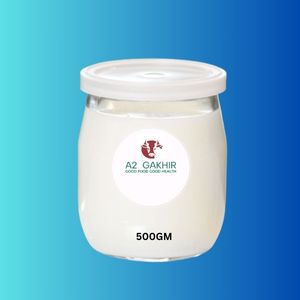 Dahi Plain 500GM Pack